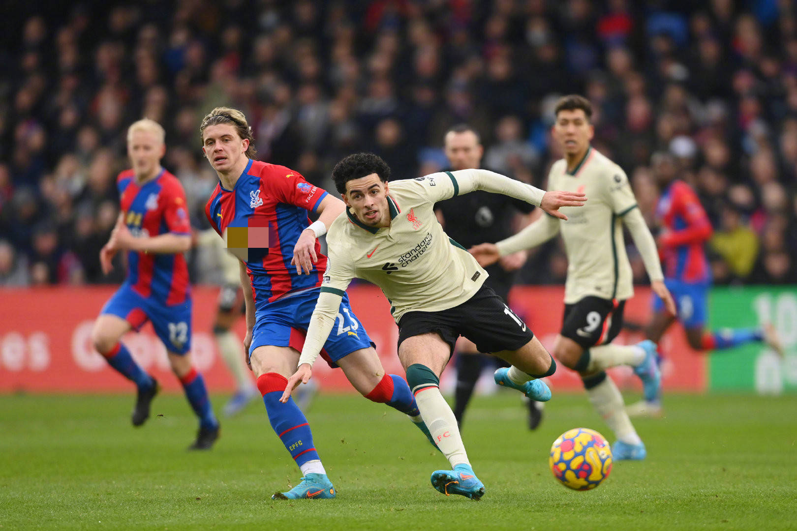 的学者和专 的学者和专